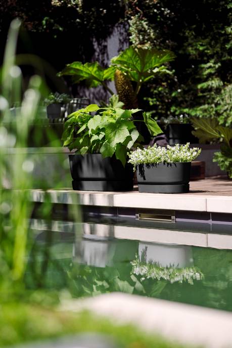 greenville pflanzgefäß 60cm rollen living schwarz